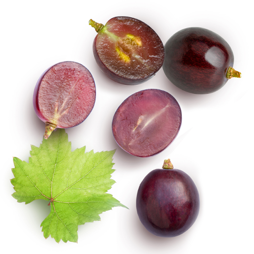 Grape Stem Cell Extract