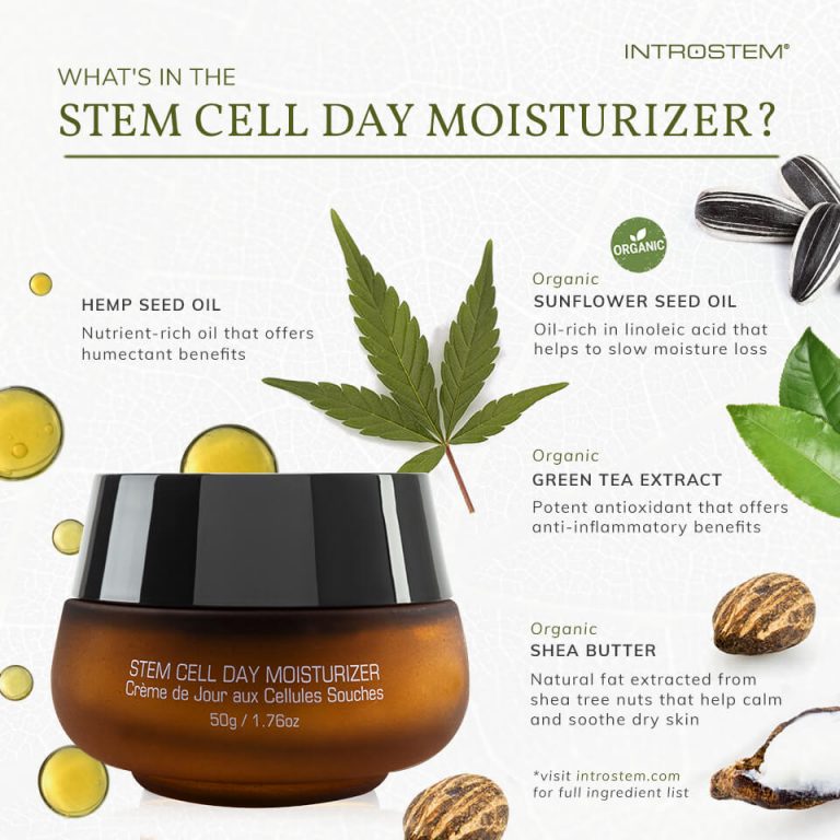 introstem stem cell day moisturizer introstem stem cell day moisturizer