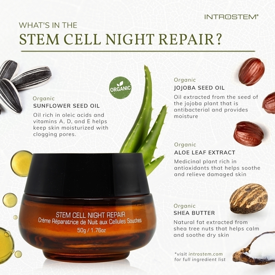 Skincare products for fall Stem Cell Night Repair infographic