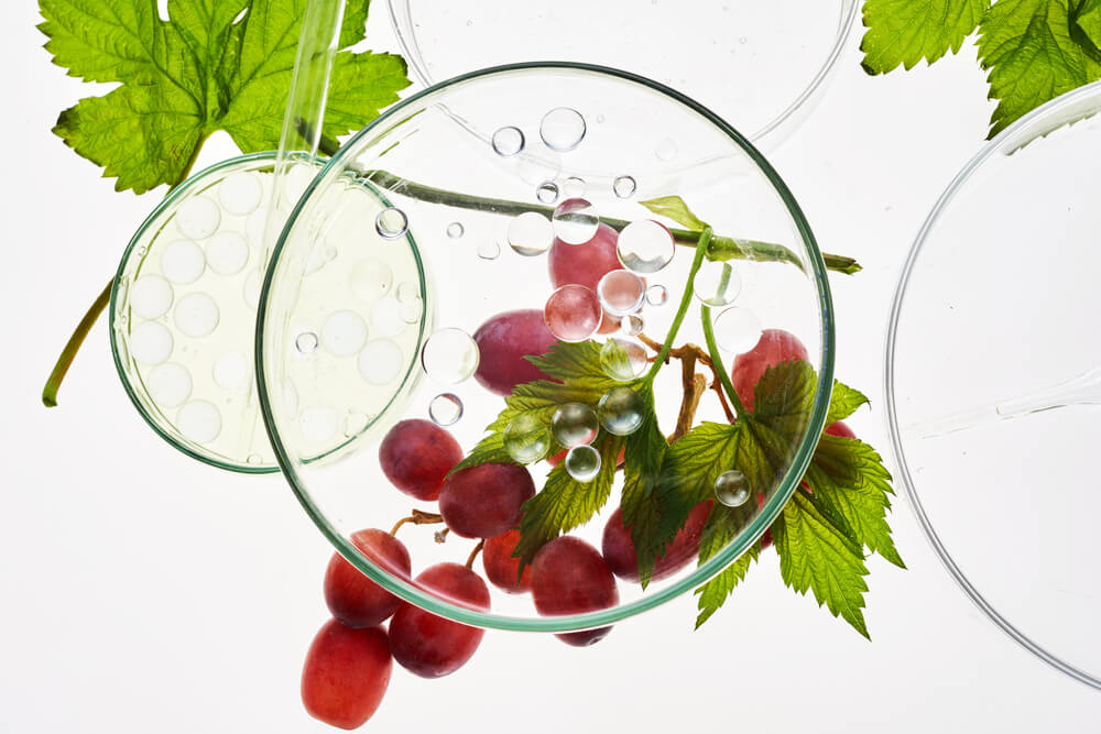 Grape Stem Cells: The Miracle Ingredient You Didn’t Know You Needed