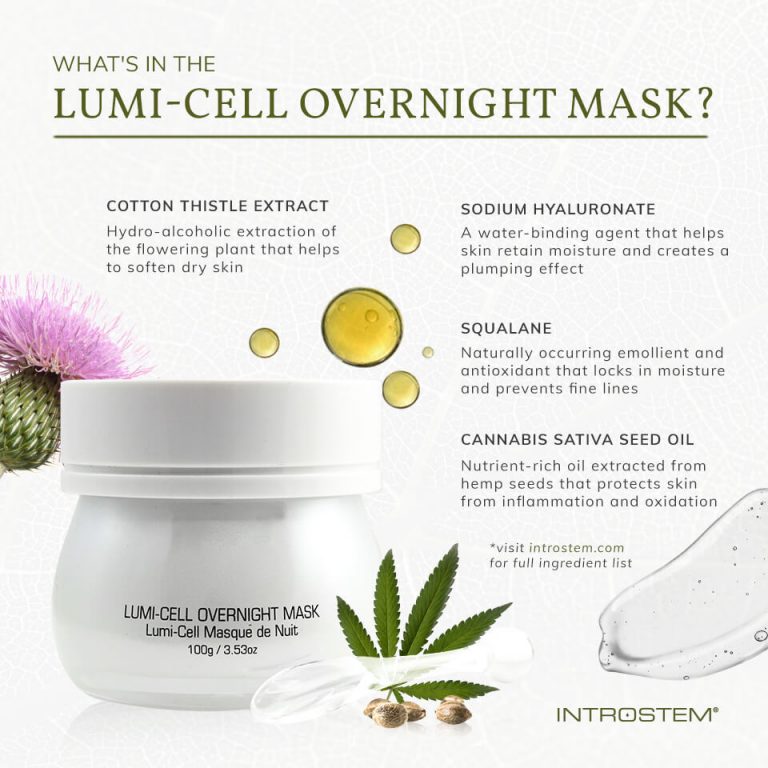 Introducing Your New Favorite Overnight Mask