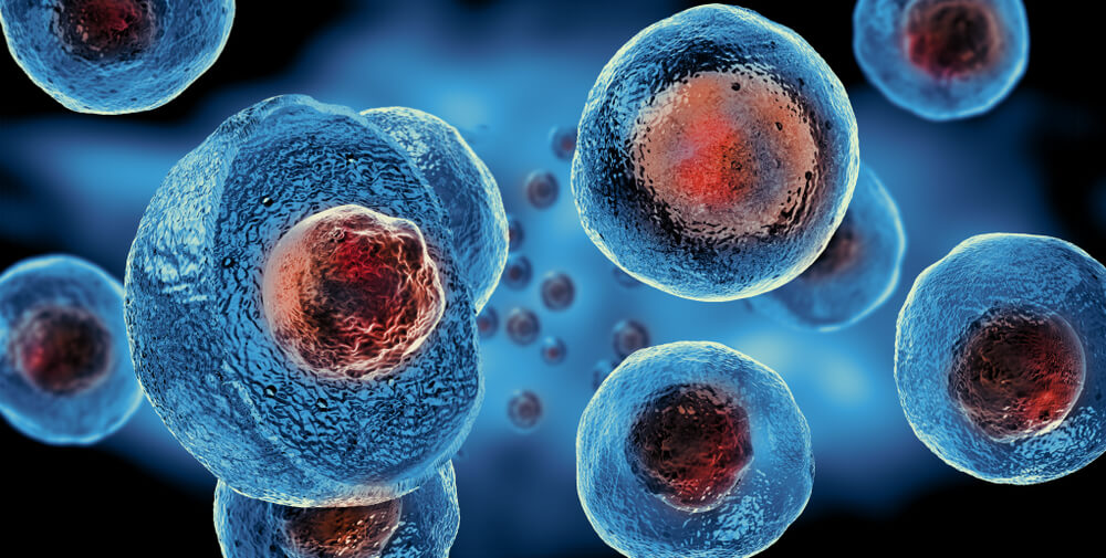 Stem cells